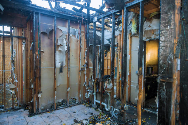 Professional Fire Damage Assessment technician working in Rochester, MI